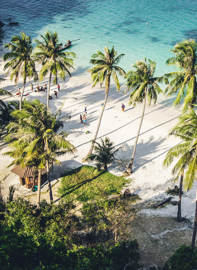 Jetzt entdecken Fernreisen: Thailand von oben: Strand mit Palmen am Meer