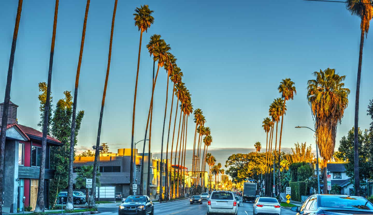 Malerische Straße in Los Angeles mit Palmen am Straßenrand, ideal für einen entspannten Los-Angeles-Urlaub.