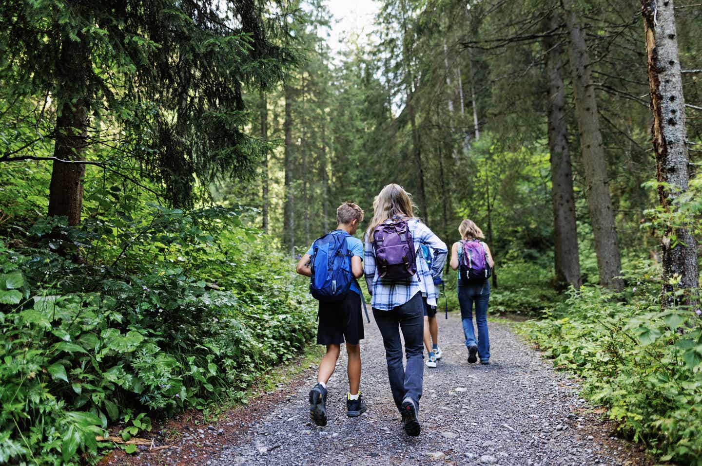 Wandern um den Attersee im Salzkammergut