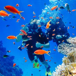 Tauchhotels in Ägypten