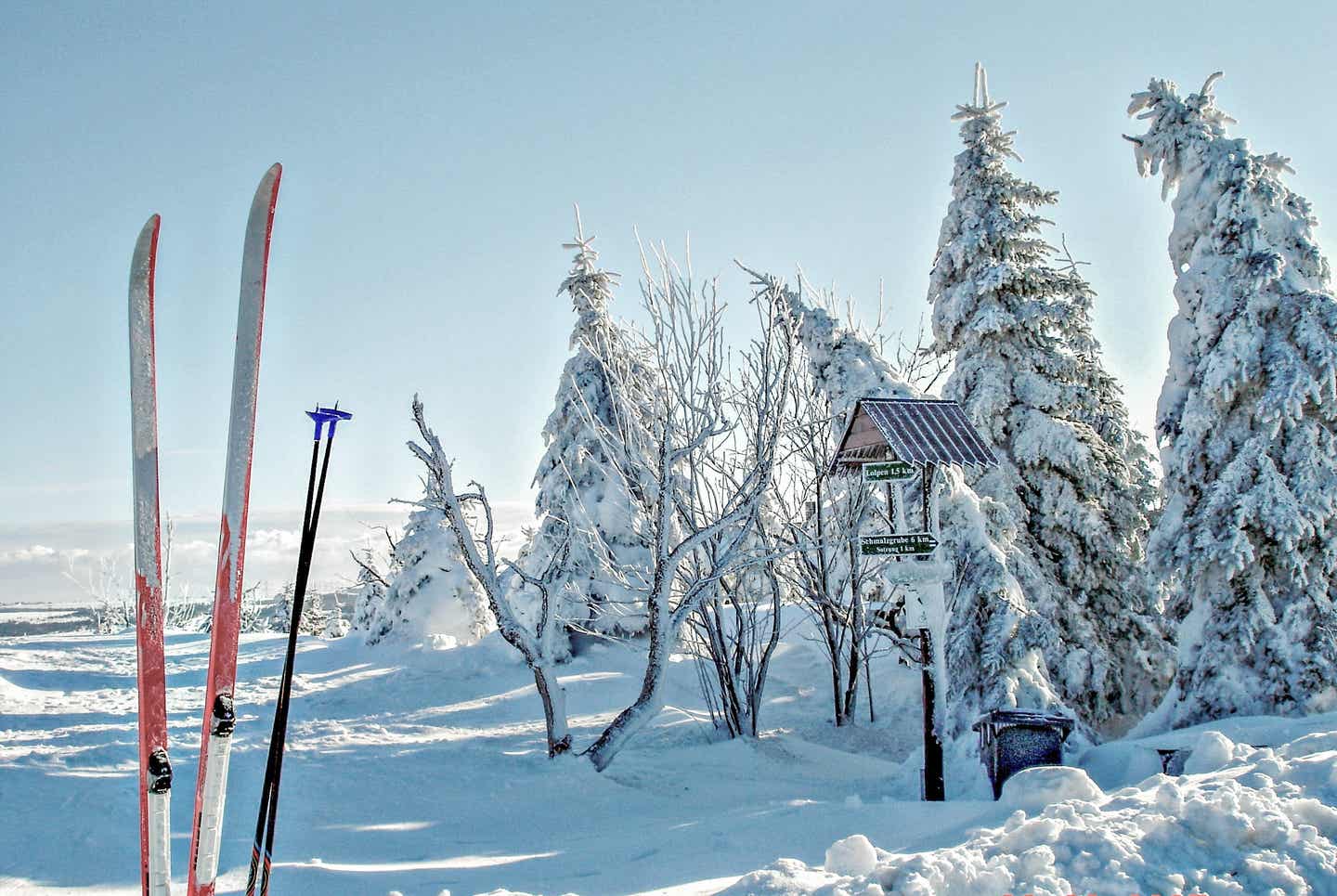 Erzgebirge Urlaub mit DERTOUR. Zwei Langlaufskier aufgestellt in einer verschneiten Landschaft bei Schmalzgrube im Erzgebirge