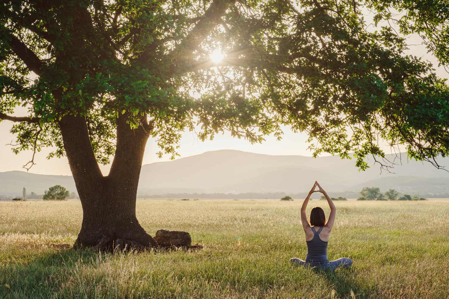 Yoga in der Natur