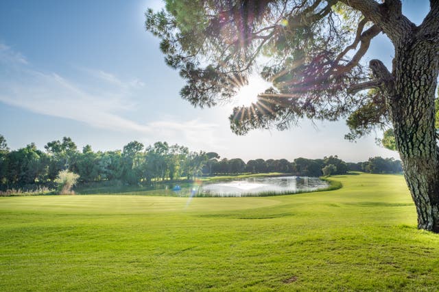Nah-Ansicht des Golfplatzes des Cornelia Diamond