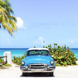 kuba-strand-varadero-oldtimer-unter-palmen-g-1093748498.jpg