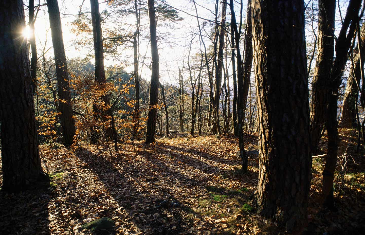 Hotels im Thüringer Wald