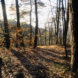 Hotel Thüringer Wald