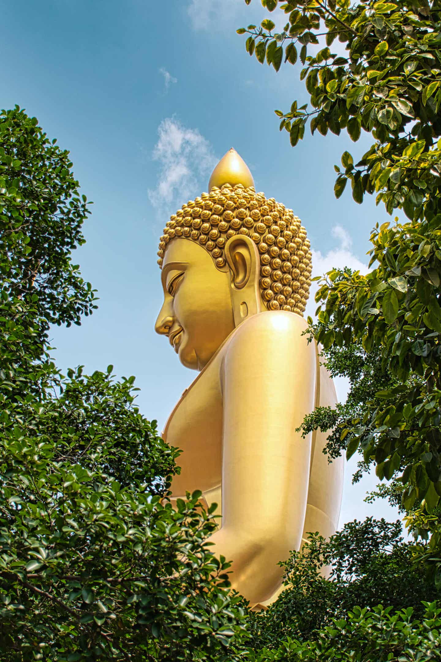 In der besten Reisezeit Bangkok entdecken - Seitenansicht von einem großen goldenen Buddha