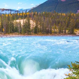 Jasper Hotels