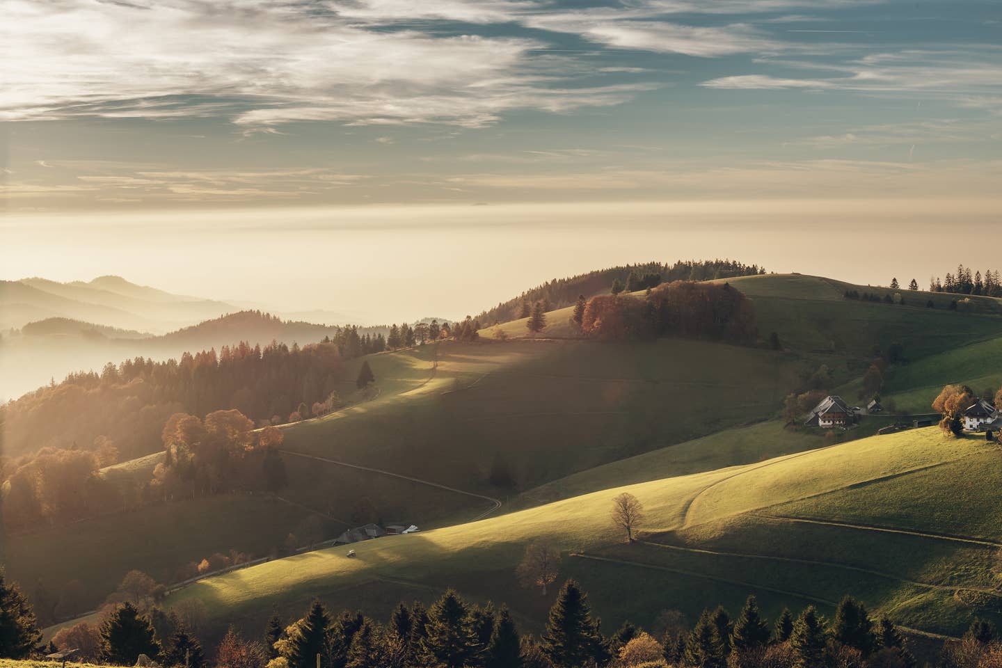 Baden-Württemberg-Urlaub mit DERTOUR. Landschaft des Schwarzwalds mit Wiesen und Wäldern bei Sonnenaufgang