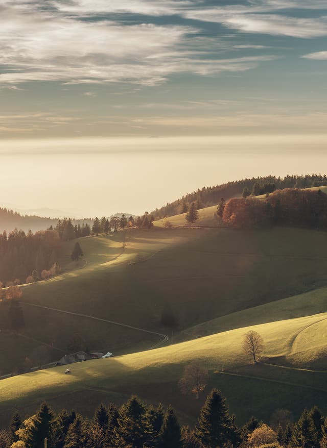 Baden-Württemberg Urlaub Baden-Württemberg-Urlaub mit DERTOUR. Landschaft des Schwarzwalds mit Wiesen und Wäldern bei Sonnenaufgang
