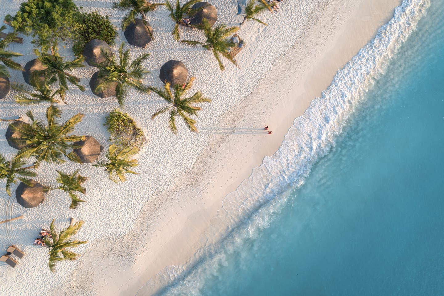 Urlaub am Wasser mit Strand, Palmen und türkisem Meer