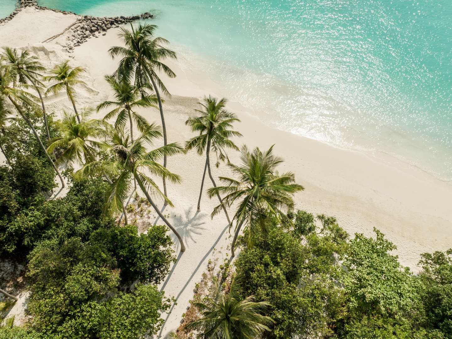 Blick auf den Strand aus der Vogelperspektive mit Palmen