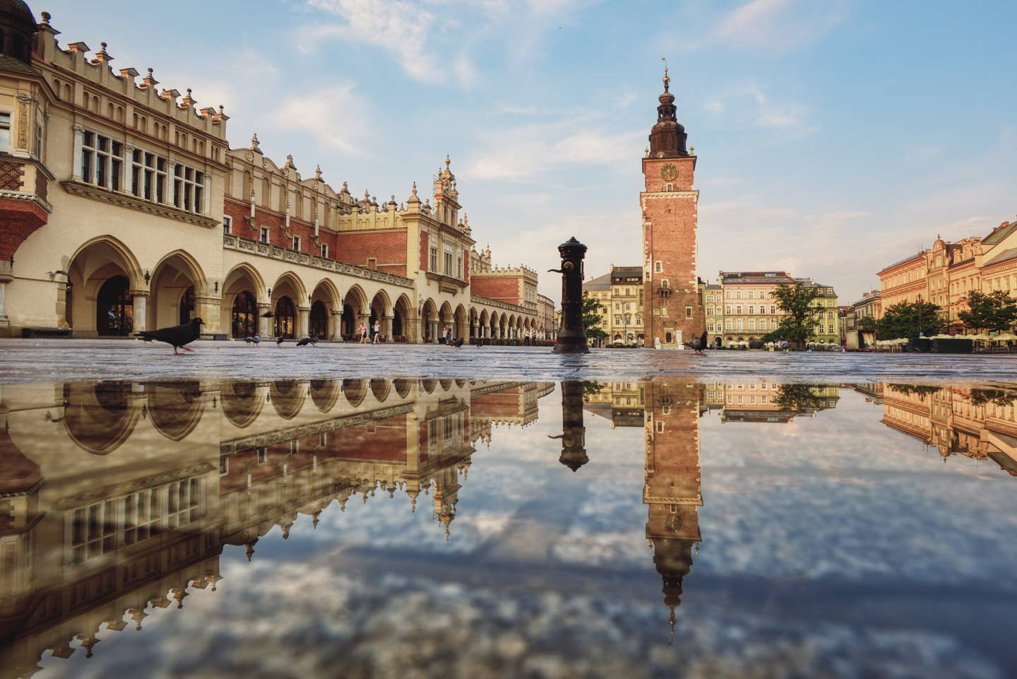 Krakauer Münster am Tag Nahaufnahme