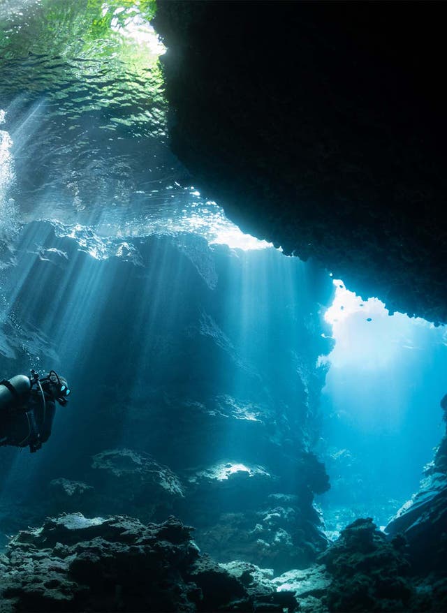 Tauchen Griechenland: die schönsten Regionen Tauchen Griechenland: Taucher in Unterwasserschlucht