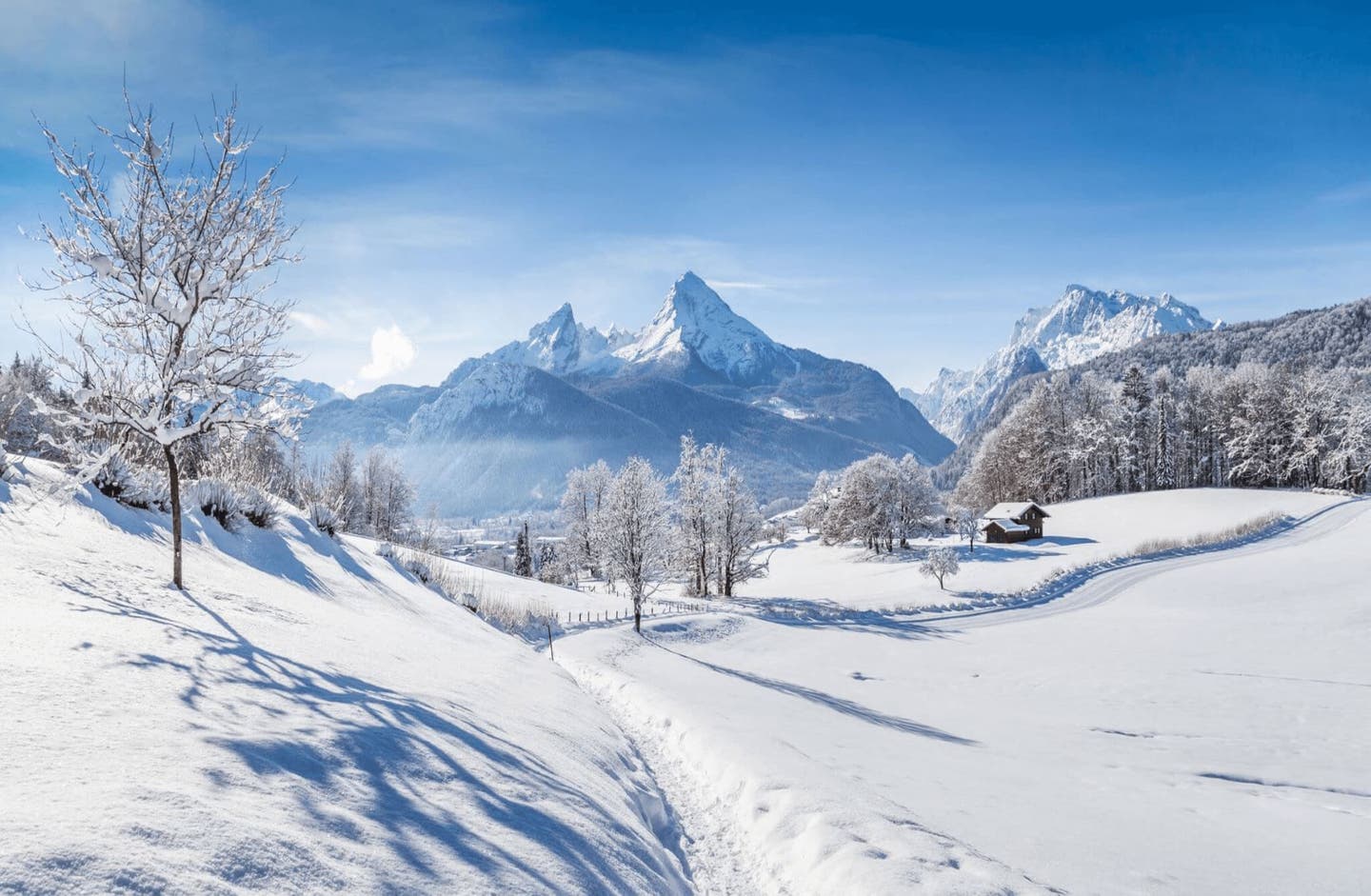Alpine Natur: die beliebtesten Skigebiete in Europa