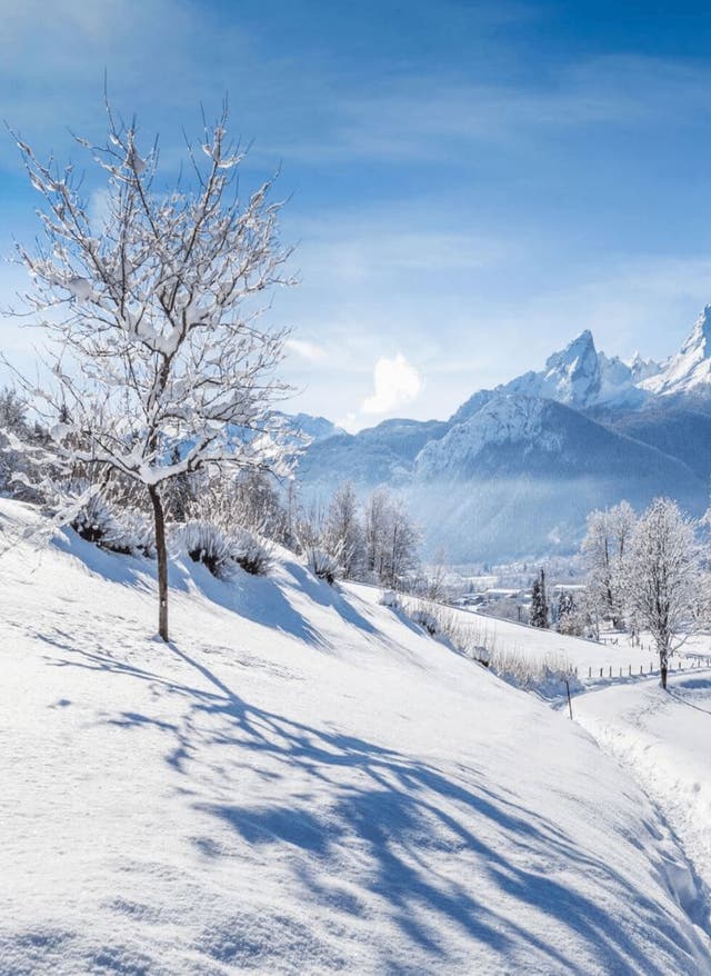 Die beliebtesten Skiregionen Europas Die beliebtesten Skigebiete Europas – Winterlandschaft mit Bergen und Bäumen