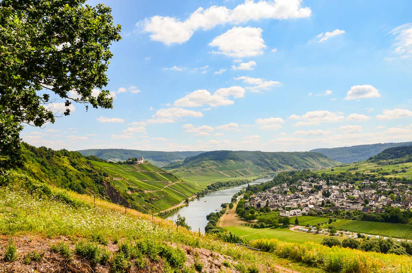 Weinberge an Rhein und Mosel