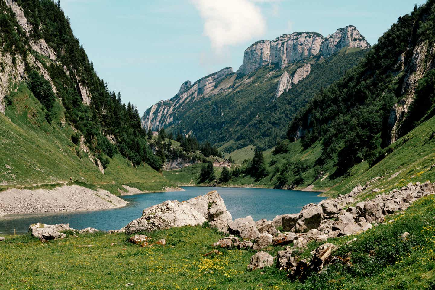 Wandern in den Alpen