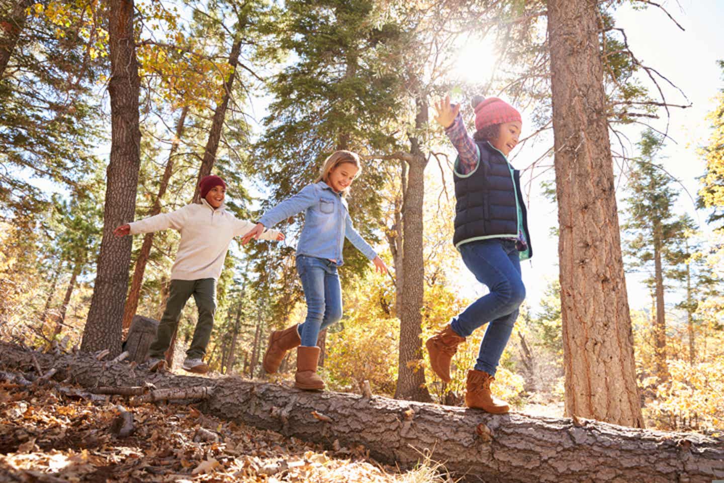 Familienurlaub Harz: Familie mit Kindern unterwegs im Harzer Wald.