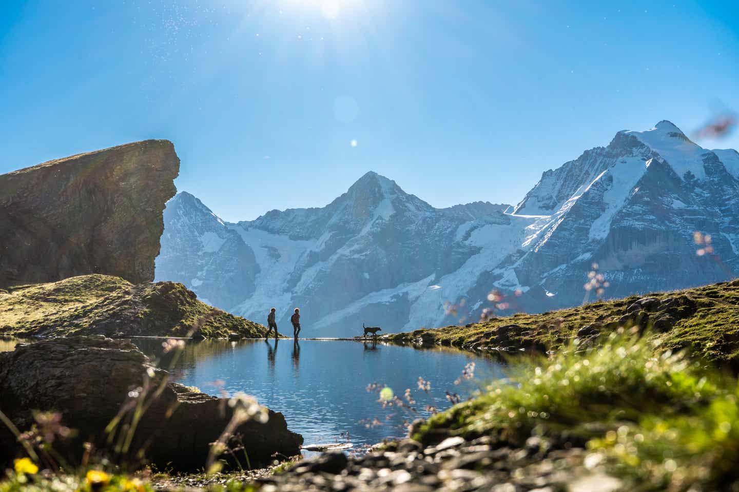 Wandern in den Alpen