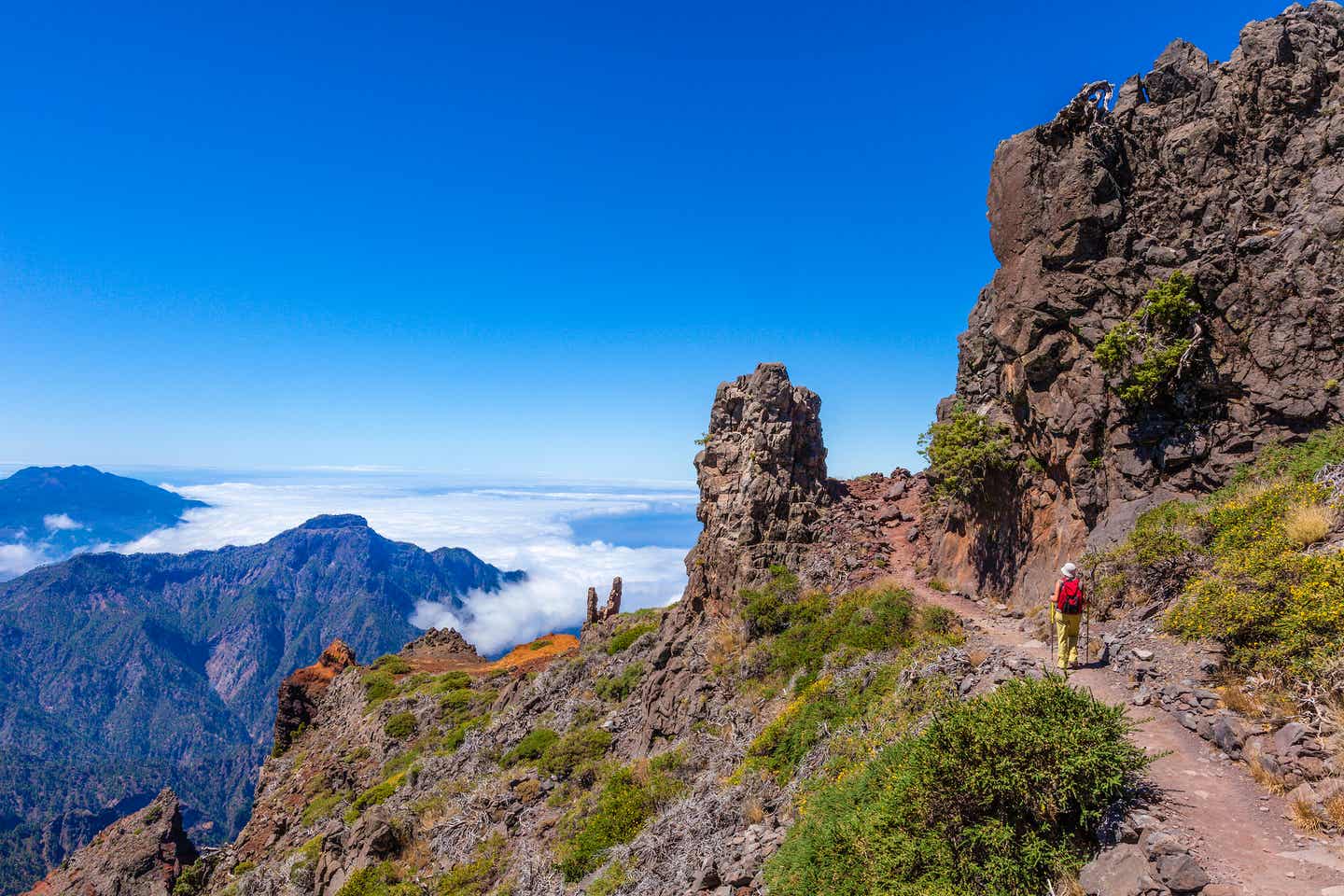 Unterwegs in den Nationalparks La Palma: grüne Sehenswürdigkeit