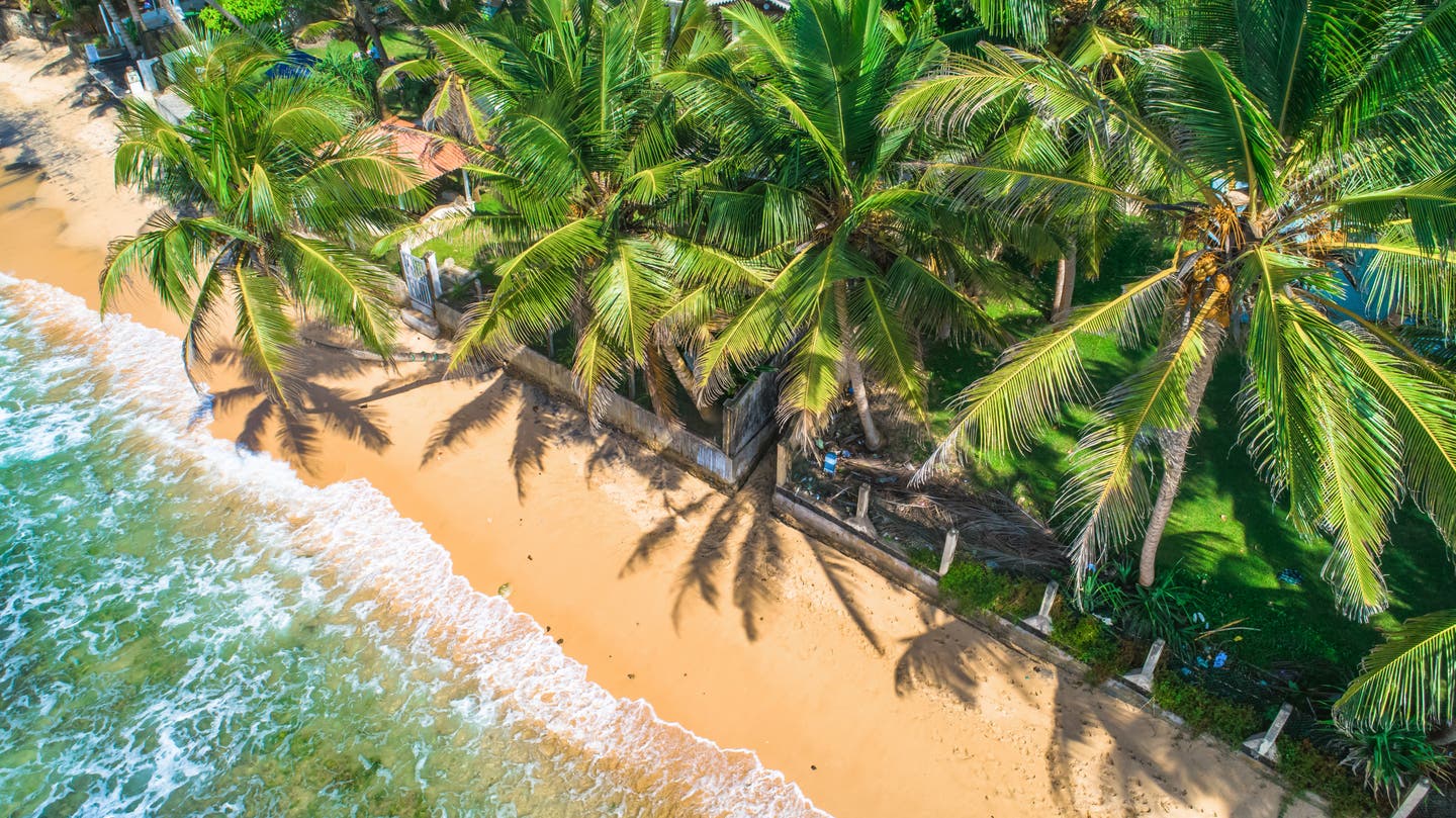 Strand in Unawatuna mit goldgelbem Sand, türkisfarbenem Meer und schattenspendenden Palmen