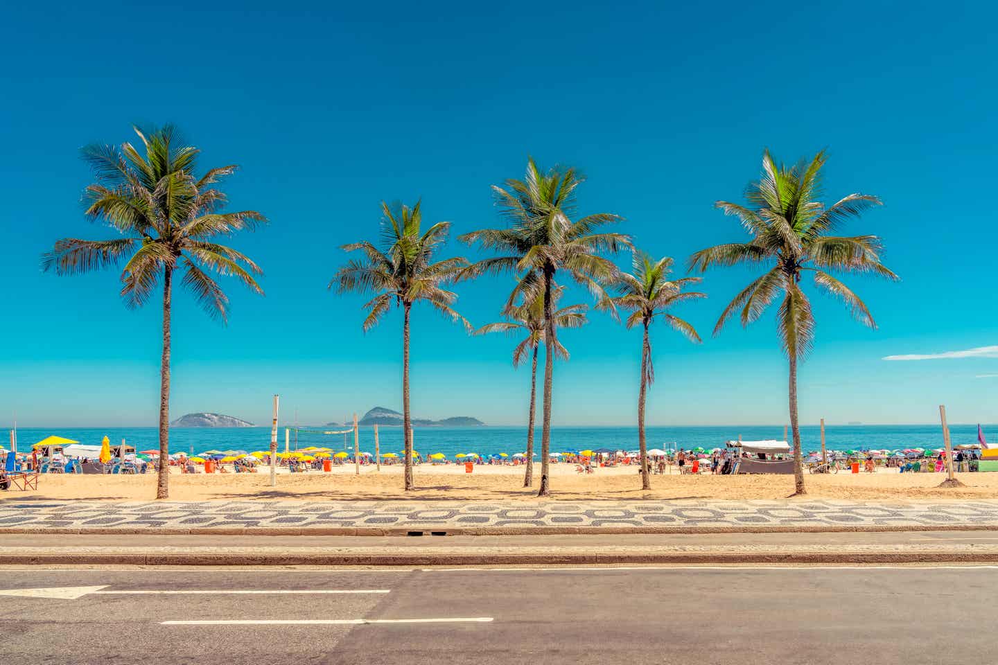 Blick auf den palmengesäumten Strand von Rio: Ipanema