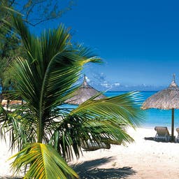mauritius-strand-sonnenschirme-p-MZ01620.jpg