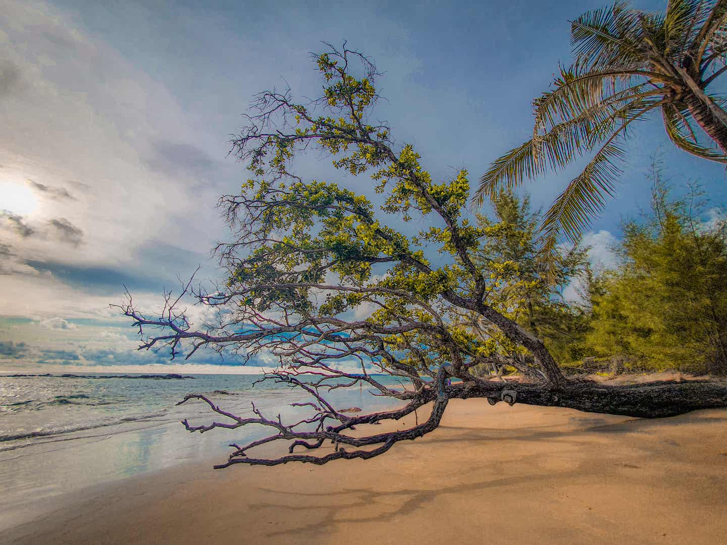 Der malerische Nang Thong Strand in Khao Lak mit feinem Sand und Vegetation