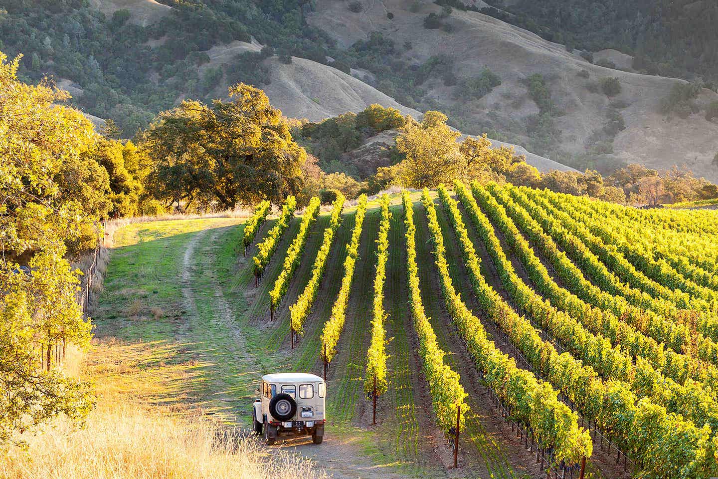 Kalifornien Sonoma: Jeep neben den Weinfeldern