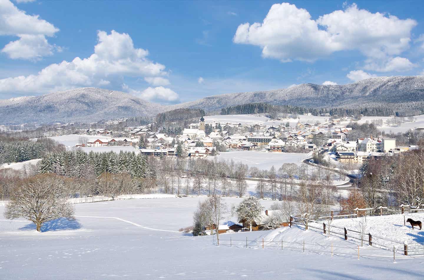 Winterurlaub in Deutschland: Verschneites Drachselried im Winter