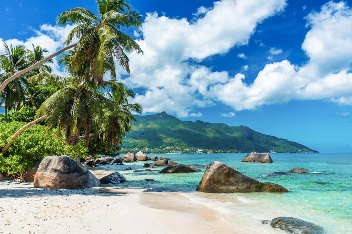 Seychellen-Inselhopping: Entdecke den idyllischen Strand Beau Vallon mit glasklarem Wasser