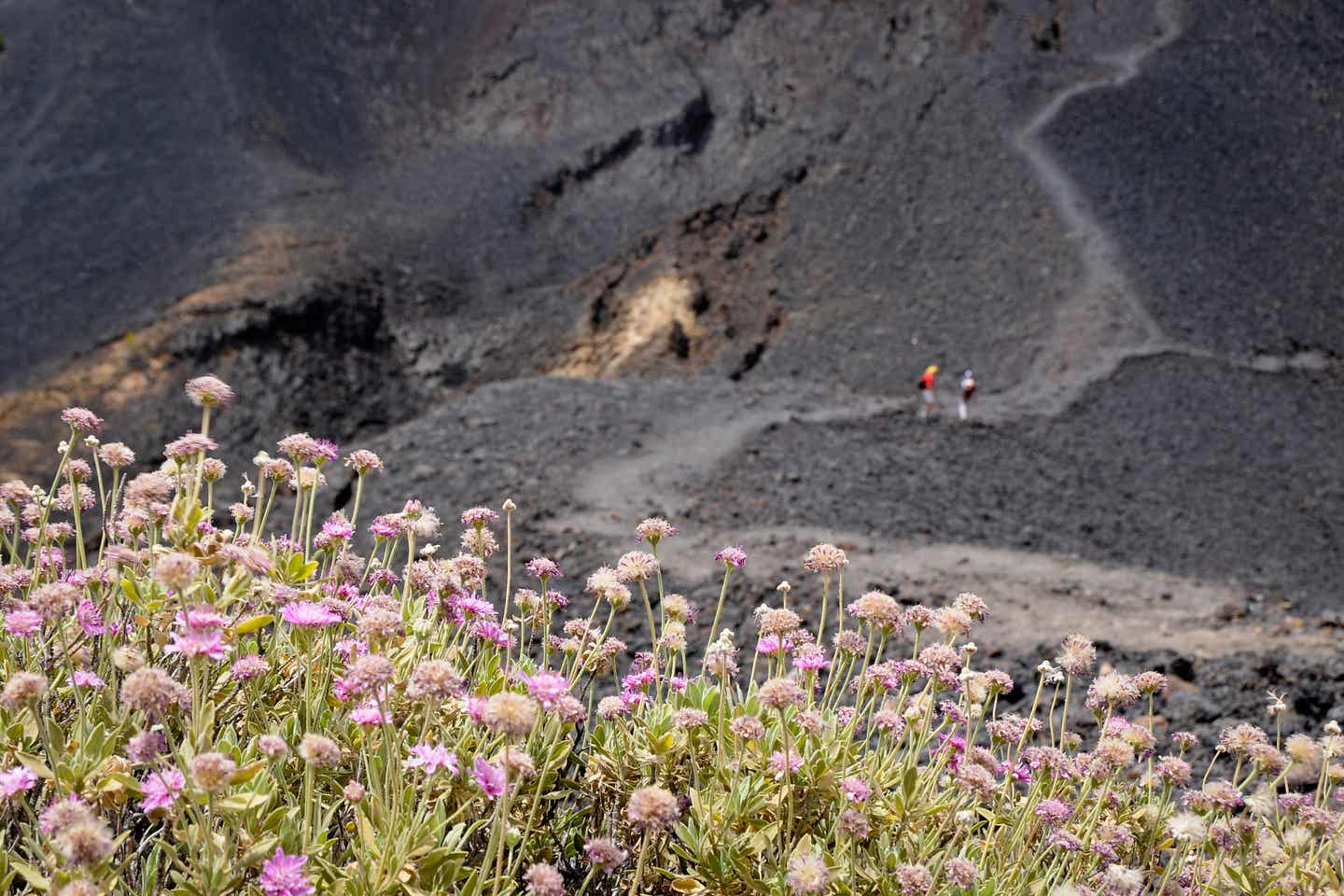 La Palma Urlaub: Die Vulkanroute