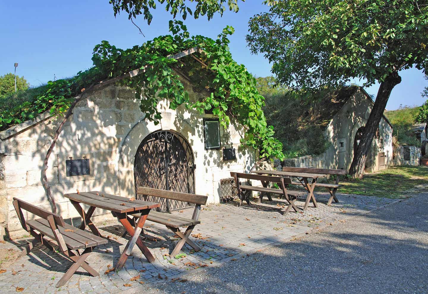 Weinkeller-Burgenland