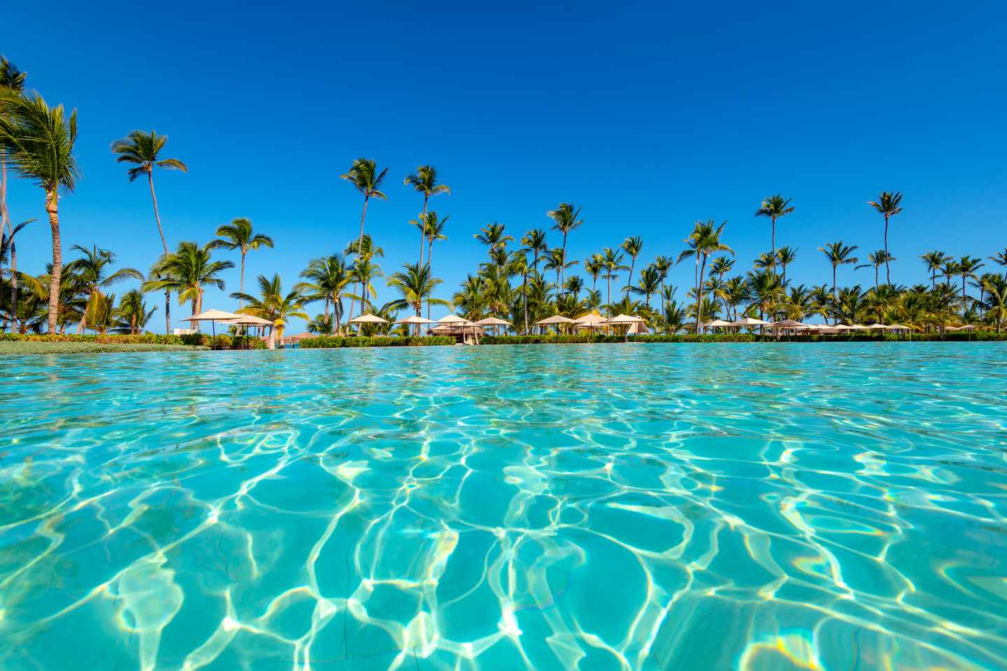 All Inclusive Hotel Punta Cana: Pool mit Palmen in Luxusresort in Punta Cana