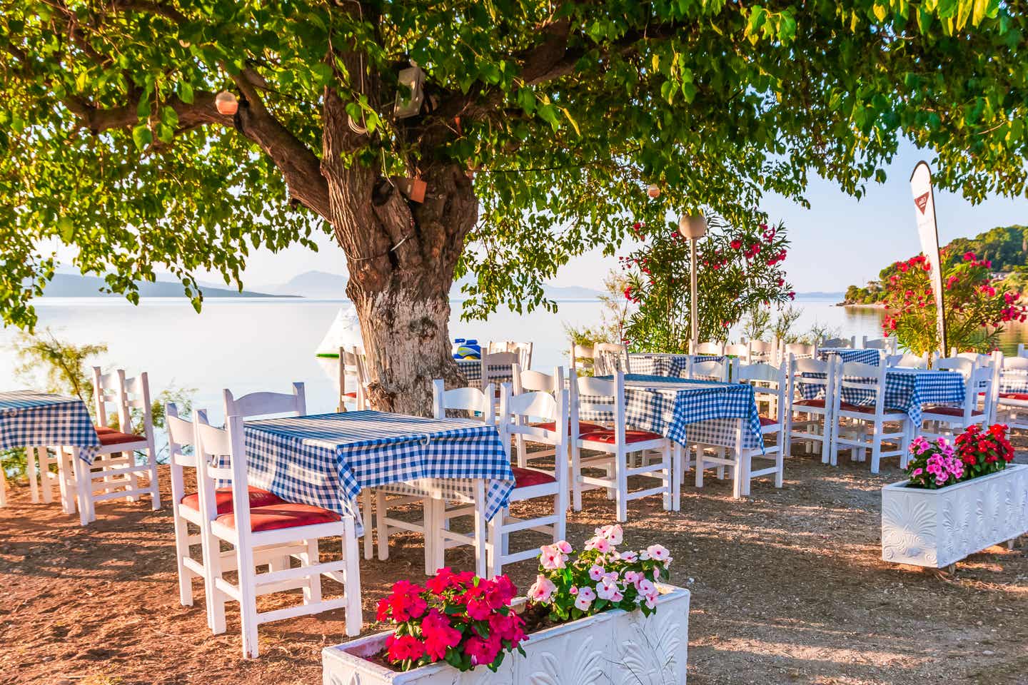 Blick auf eine typisch griechische Taverne am Meer unter Bäumen