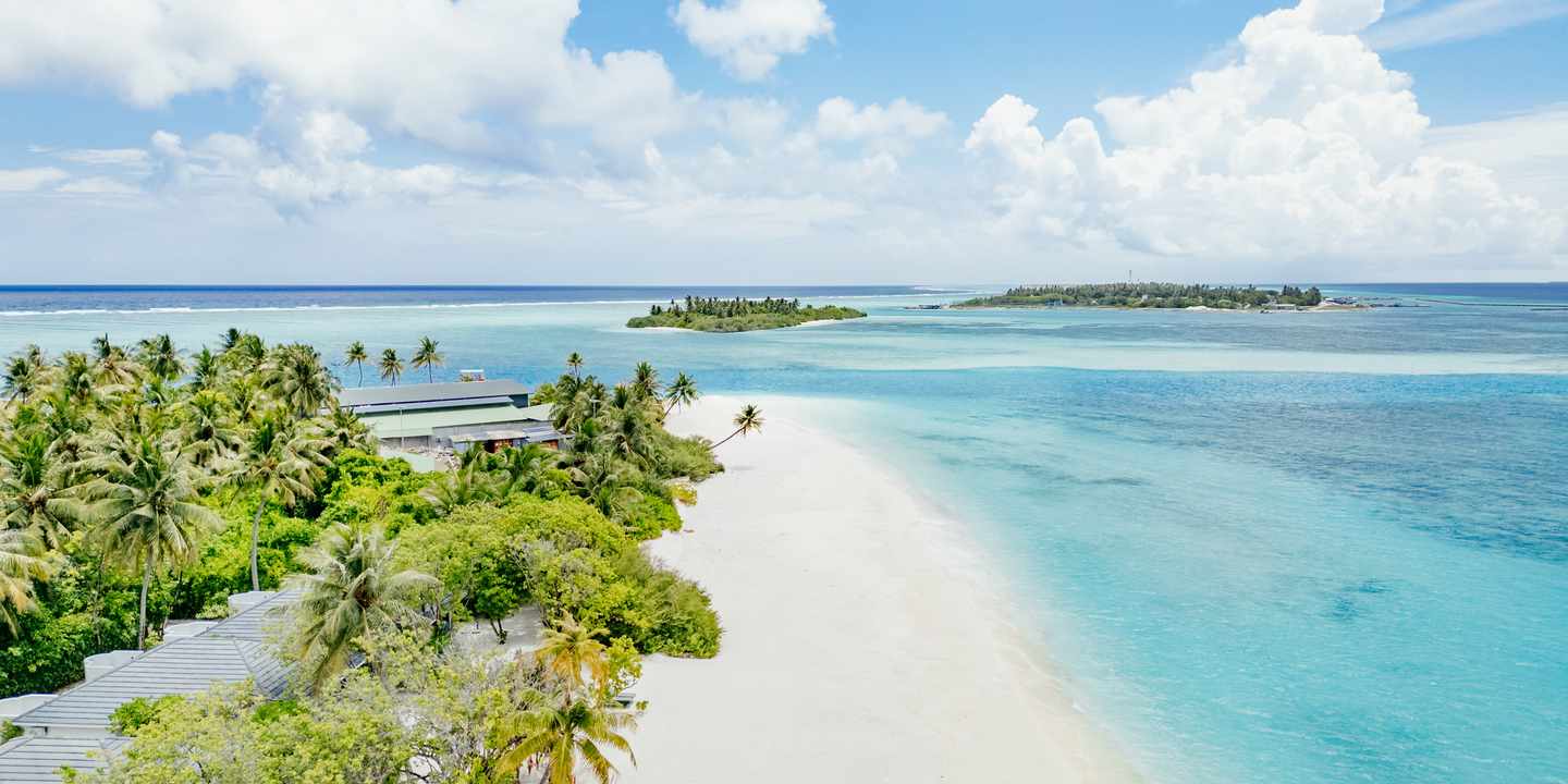 Strandabschnitt mit Palmen und Meer