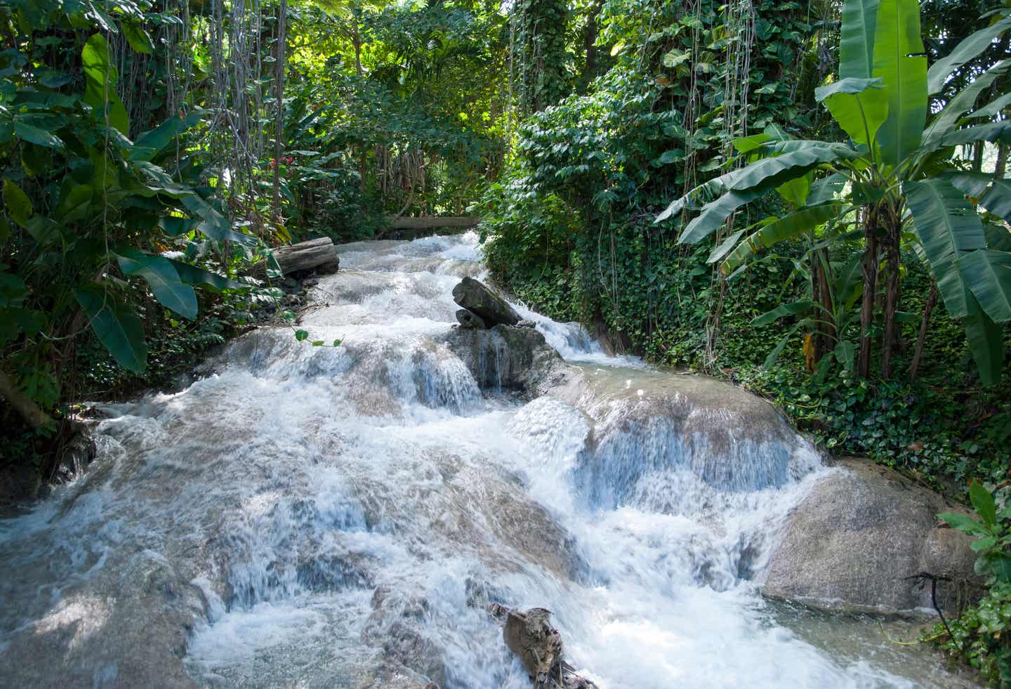 Jamaikas Wasserfälle im Ocho Rios Resort
