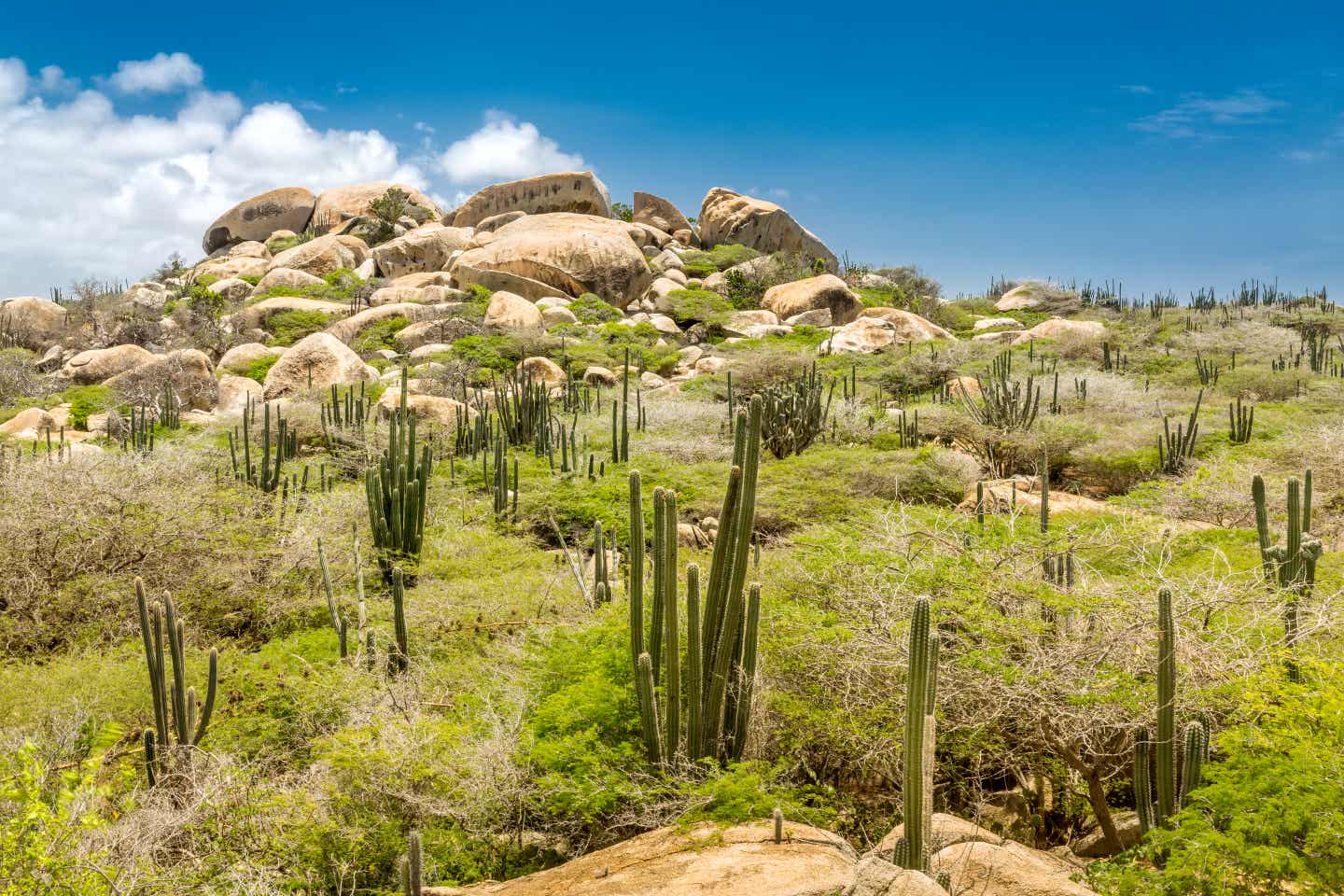 Wandern auf Aruba bei bestem Wetter im Nationalpark