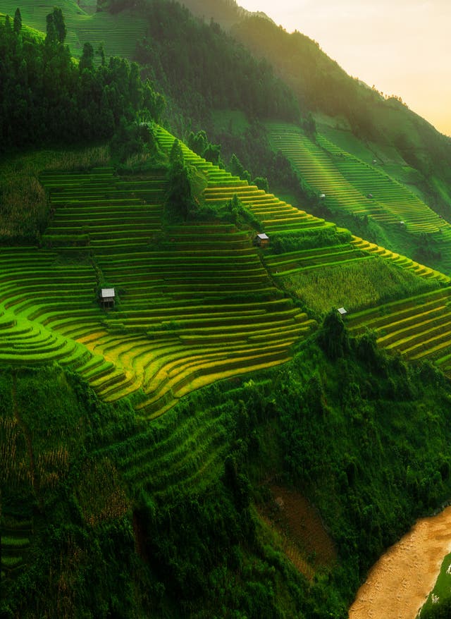 Hotel in Vietnam buchen Mu Cang Chai, Reisfeld Terasse in Vietnam