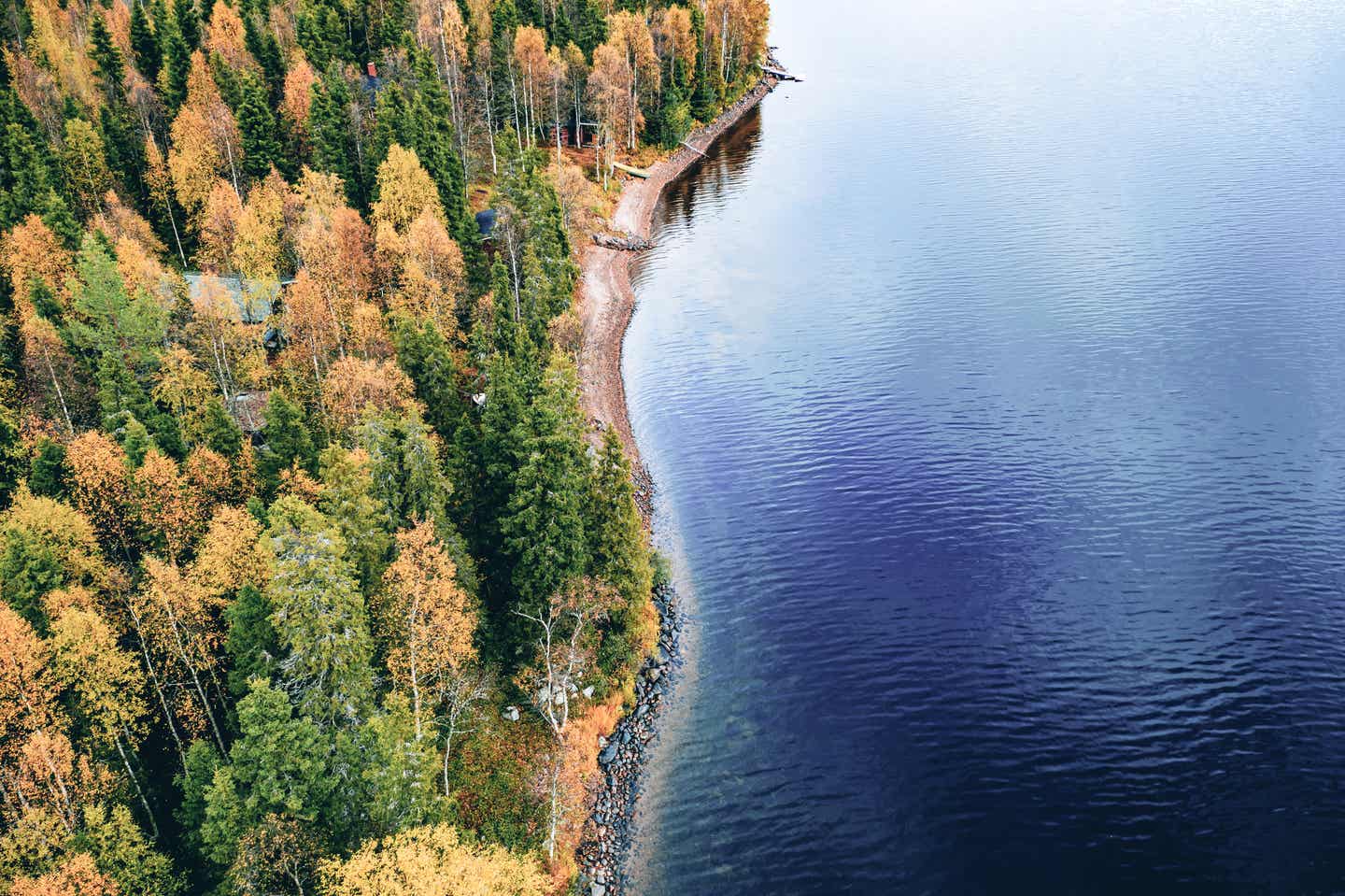 Luftaufnahme des Herbstwaldes in Finnland während Skandinaviens bester Reisezeit