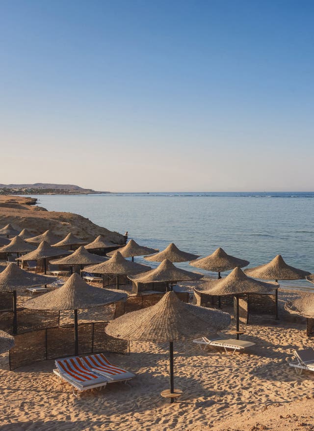 Angebote Ägypten Ägypten Rotes Meer Strand mit Sonnenliegen