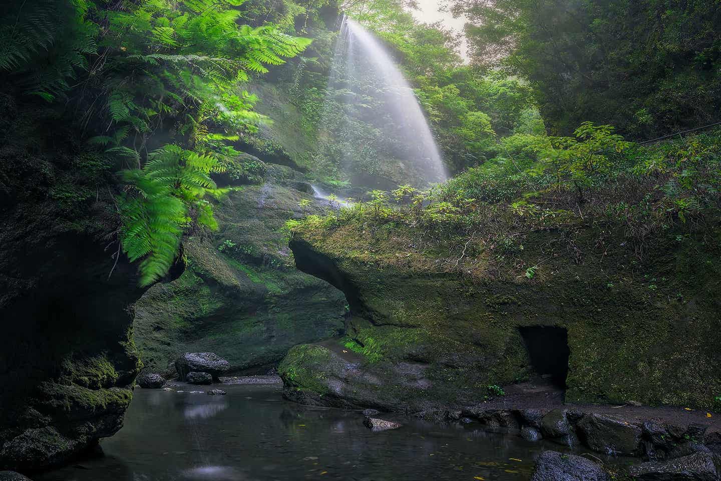 La Palma los Tilos Regenwald Wasserfall