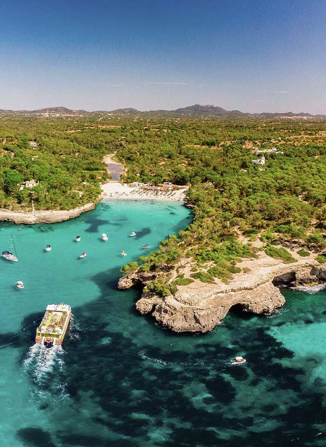 Zu den Angeboten Pauschalreisen nach Mallorca
