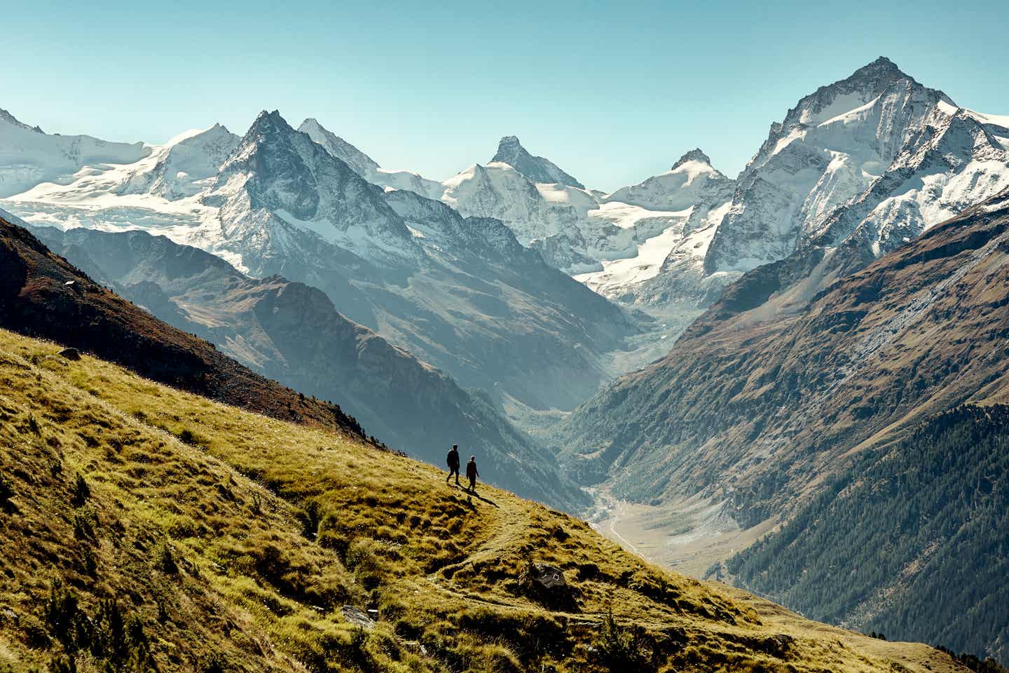 Wandern in den Alpen