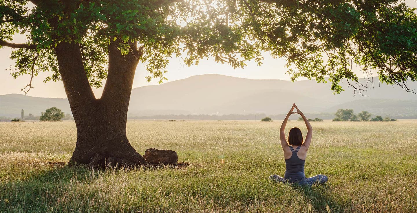 Eine Frau macht auf einer Wiese neben einem Baum Yoga-Übungen