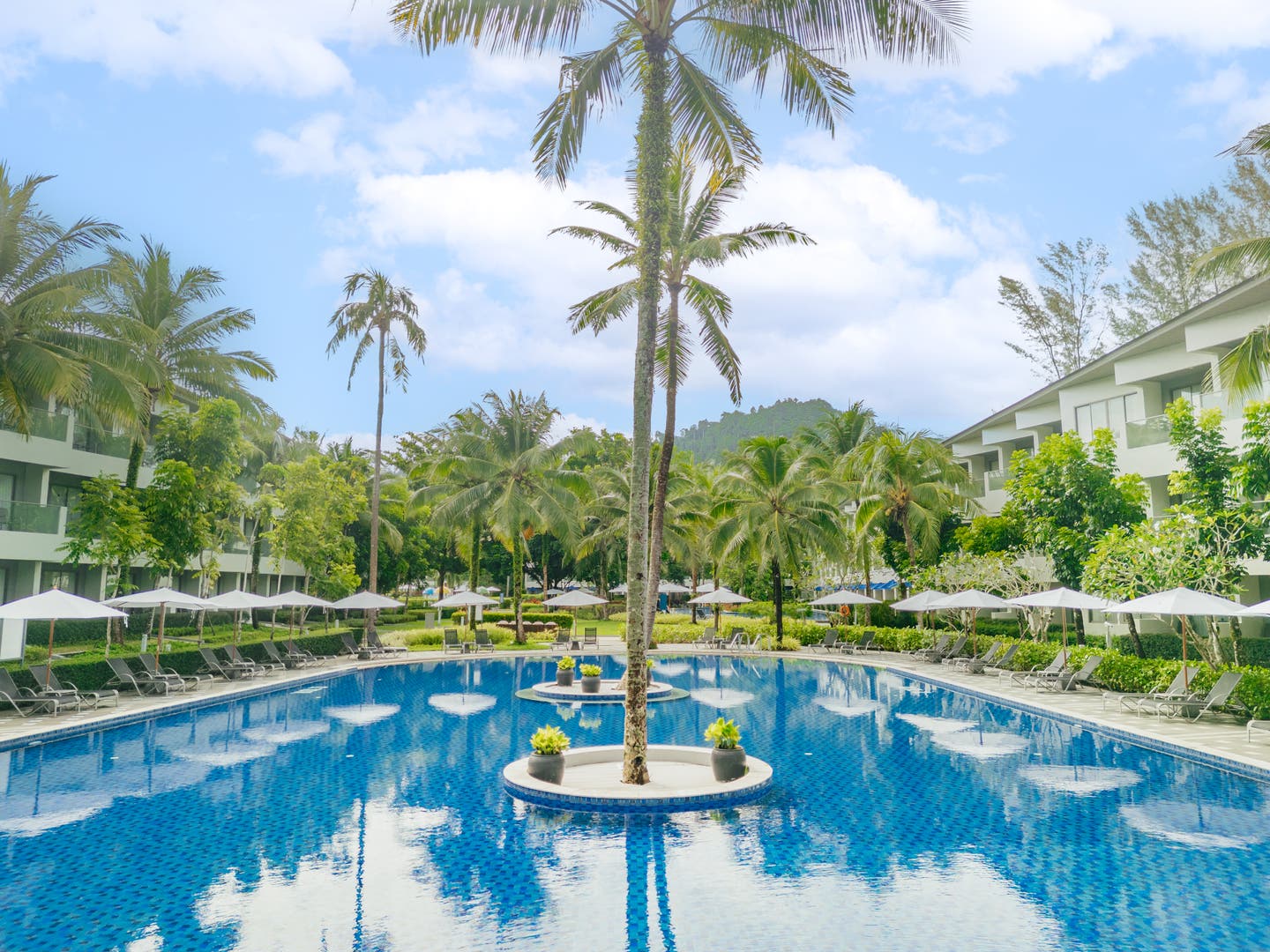 Großer Hotelpool umgeben von Palmen
