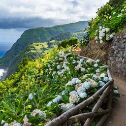portugal-azoren-sao-miguel-küste-klein-g-944487332.jpg