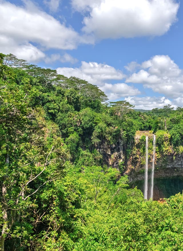 Bewusst reisen: Geprüfte Hotels & Rundreisen Nachhaltigerer Urlaub: Wasserfall im Dschungel auf Mauritius