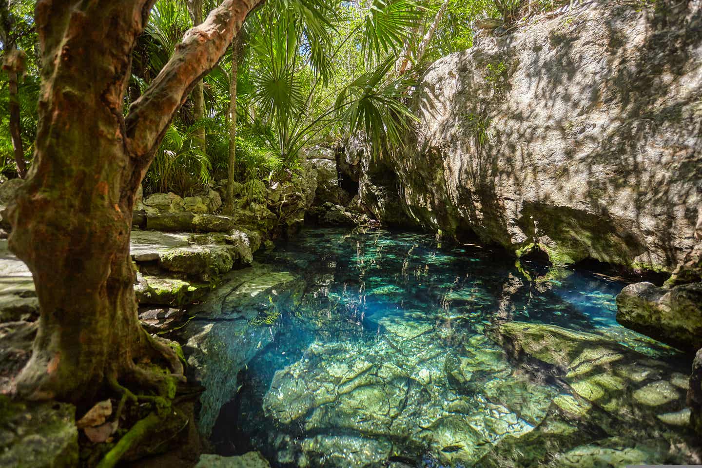 Cenote auf Yucatán